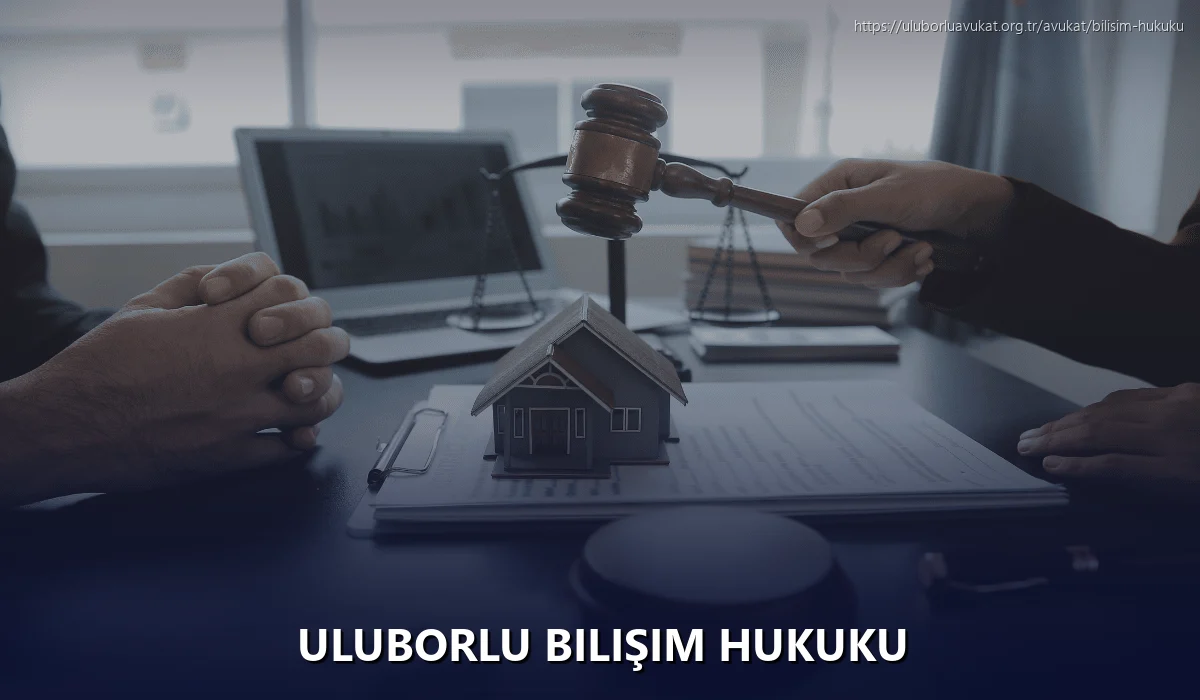 Uluborlu Bilişim Hukuku